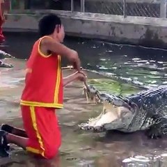 Crazy Man Put His Head Inside a Crocodile Mouth