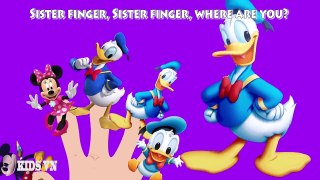 #Mickey Mouse #Hulk #Donald Duck #Finger Family Songs #Nursery Rhymes Lyric & More Panda