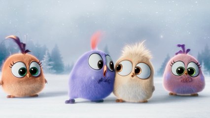 Nhạc thiếu nhi tiếng anh sôi động những chú chim non