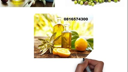 081-657-4300 (Indosat) Jual Minyak Zaitun Ambon