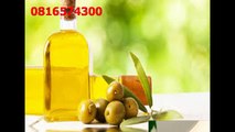 081-657-4300 (Indosat) Jual Minyak Zaitun Polewali Mandar