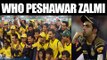Shahrukh Khan owned KKR rubbishes match with Peshawar Zalmi | Oneindia News