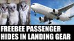 Owl found alive hiding  in landing gear of Aircraft : Oneindia News