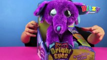Bright Eyes Pets Stuffed Animals from Blip Toys