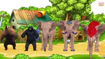 Elephant Finger Family | 3D Nursery Rhymes | Childrens Rhyme | Kids Songs