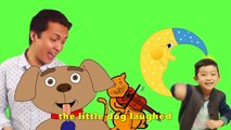 Hey Diddle Diddle | Preschool Songs | Nursery Rhymes Collection | Kids 3D Cartoon Animatio