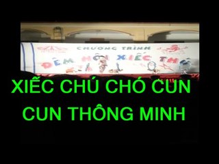 Chú Chó Cun Cun Thông Minh