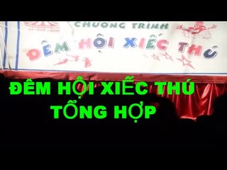 Tổng Hợp Chương Trình Đêm Hội Xiếc THú Lưu Diễn Tại Hải PHòng