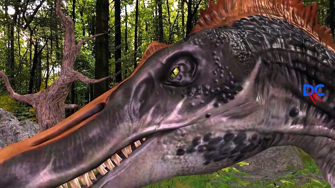 Dinosaur Movie for Children | Dinosaurs Cartoon For Kids | Dinosaurs Fighting Short Movie