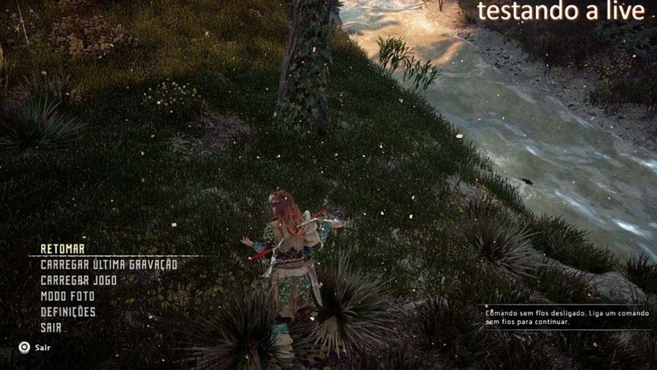 Horizon Zero Dawn (68)