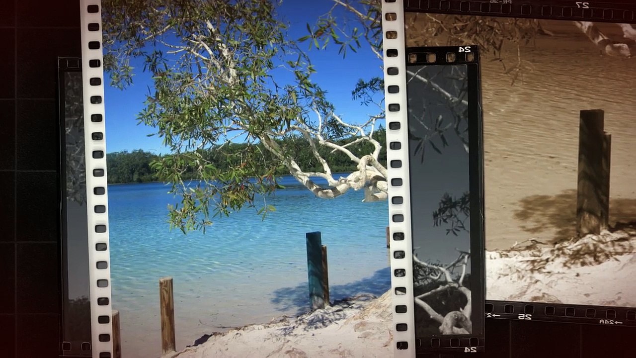 Fraser Island Tour