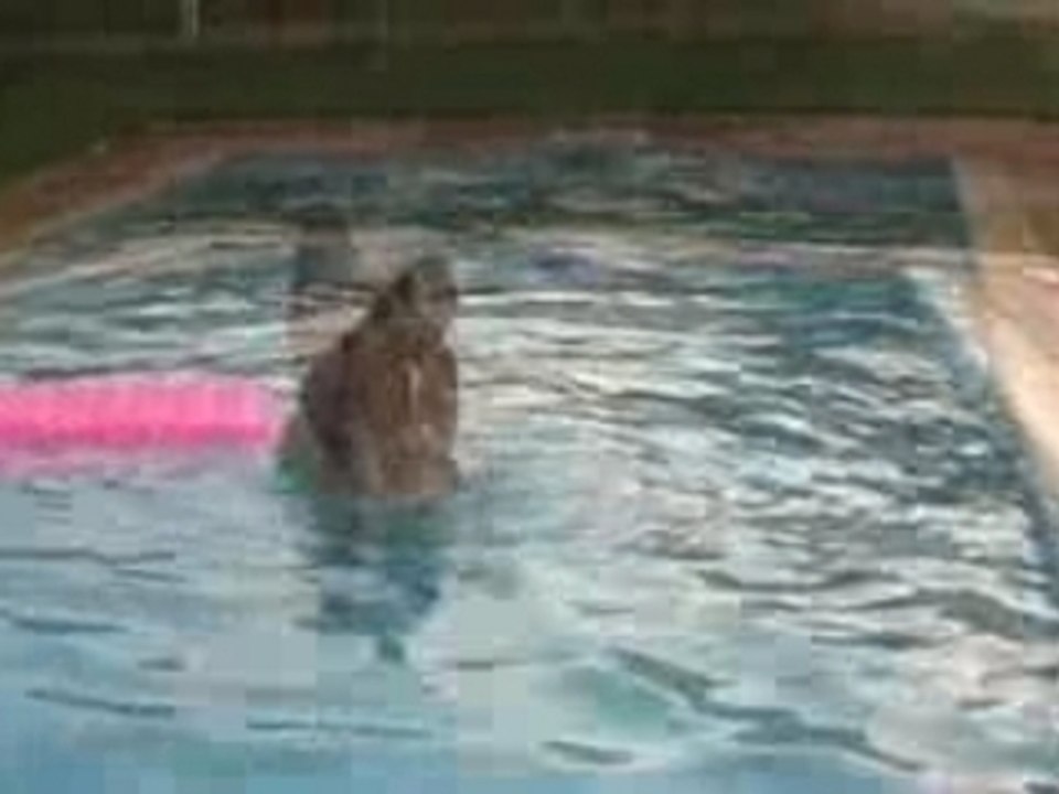 Piscine avec maman