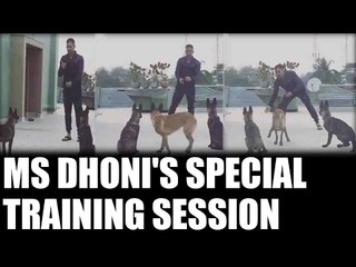 MS Dhoni gives special training to his beloved dogs, Watch Video | Oneindia News
