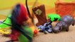 Lion Guard NEW Disney Junior Lion King Cartoon Show PRIDELANDS Playset Toys Kion & Bunga S
