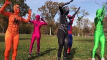 Spiderman Head Shoulders Knees & Toes   Superheroes Finger Family Nursery Rhymes