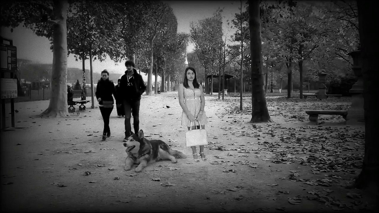 Integration fond vert 2