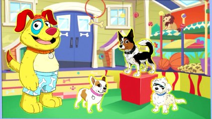 Mutt and Stuff Class Picture Day | Nick Jr Game Play For Kids