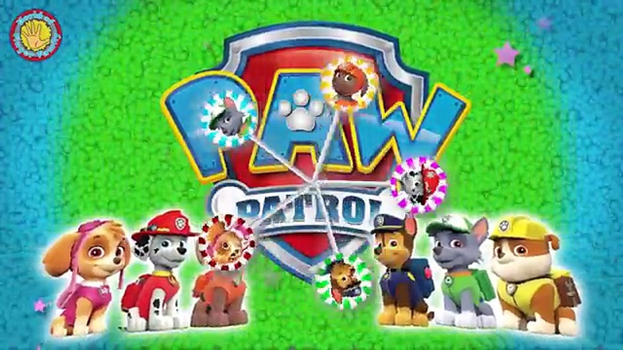PAW Patrol Lollipop Finger Family PAW Patrol Nursery Rhymes Lyrics