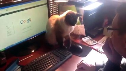 Finger weg... Das ist meine Maus! Lustige Bilder, Sprüche, W