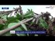 Banana trees destroyed | வாழை மரங்கள் நாசம்