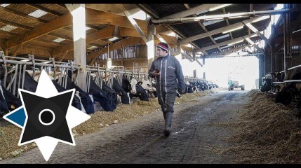 Portraits de campagne en Bretagne: Ma petite entreprise