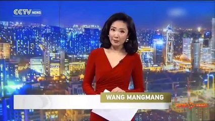 Funny News Bloopers 2016   Try Not To Laugh (IMPOSSIBLE CHALLENGE)