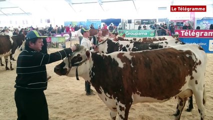 Quimper. L'agriculture en fête tout le week-end