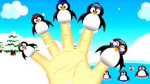 Crazy Penguin Finger Family and Lots More Finger Family Songs for Children by Nursery Rhym