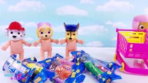 Paw Patrol Pez Dispenser Bubble Guppies Baby Dolls Learn to Count and Colors #kids