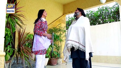 Watch Bewaqoofian Episode 73 - on Ary Digital in High Quality 25th March 2017