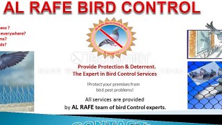 how to prevent from pigeon problem in all over the Middle East & Entire world