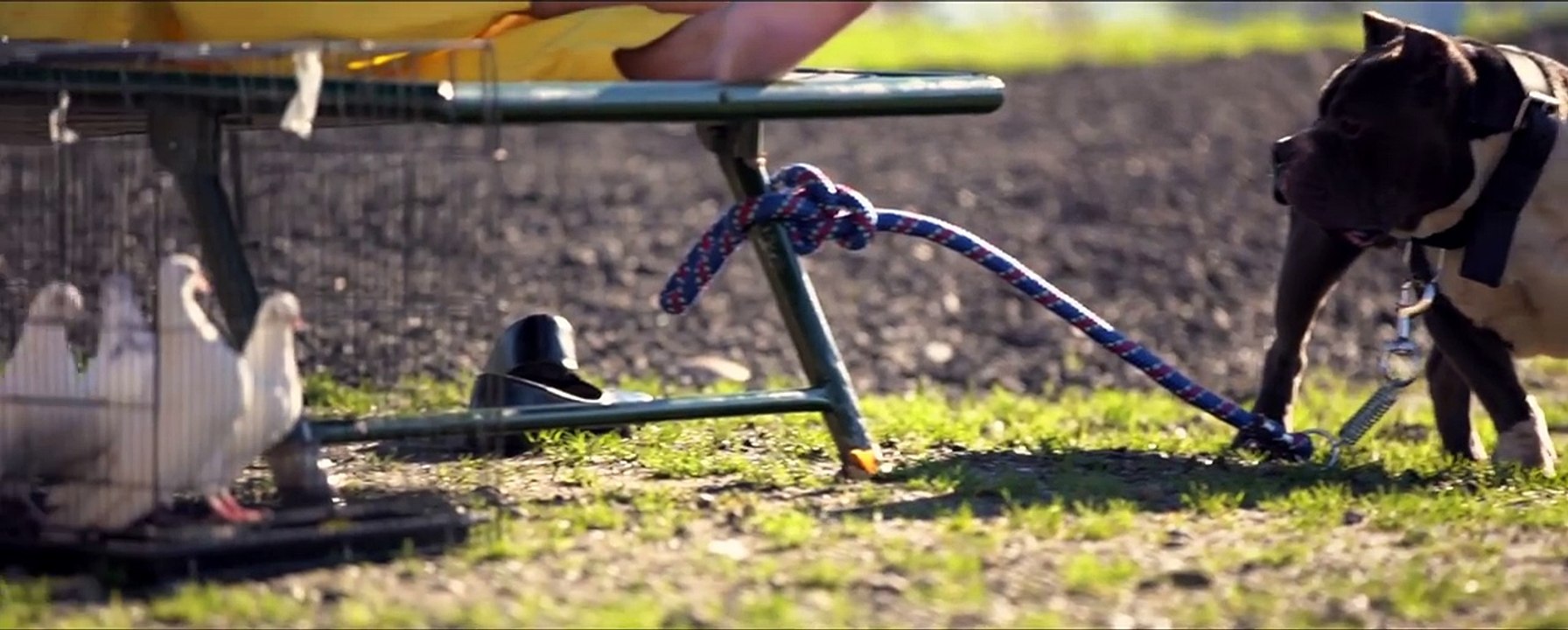 Bathinda to Miami (Full Video) Paul G ft Gangis Khan | Deep Jandu | New Punjabi Song 2017 HD