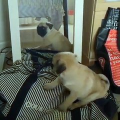 핸드폰소액결제 1등〚Ō1Ō↔9074↔5080〛모바일문화상품권현금화➡정보이용료현금화 추천