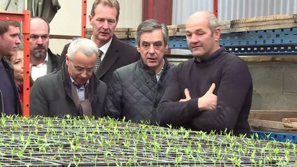 Accueil houleux pour Fillon dans une exploitation du Pays basque