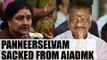 Panneerselvam expelled from AIADMK, Palaniswamy to lead party | Oneindia News