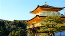 【海外の反応】日本文化 日本の童謡『さくらさくら』を聴いた外国人の反応