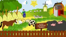 Old MacDonald Had A Farm | Baby & Childrens Nursery Rhymes Video Songs | Preschool Rhymes