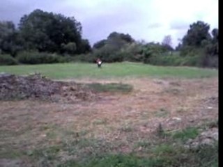 stunt en dt kité 90