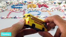 Unbelievable Animal Transporter - Hato Bus - Tomica Toy Car