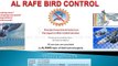 how to do Air riffle pigeon, starling pest control 6 7 8 & 9 part