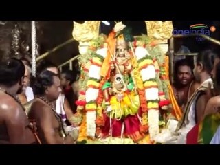 மதுரை மீனாட்சி அம்மன் பட்டாபிஷேகம்- வீடியோ