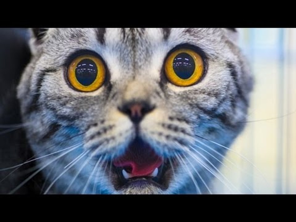 Sure you laugh (99.99% IMPOSSIBLE)