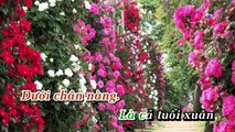 Cánh Hồng Phai Remix - Quang Hà & Chu Bin  26/03/2017