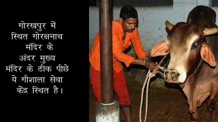 कौन कहता है कि योगो जी मुसलमानों के विरोधी हैं