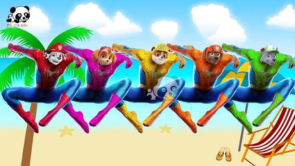 #Paw Patrol #Spider Man #Finger Family Songs #Nursery Rhymes Lyric & More Panda Kids
