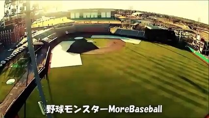 【ド迫力】プロ野球 審判カメラ集