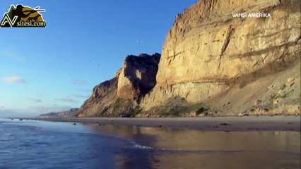 Yaşayan Bir Füze, Doğan O dünyanın en hızlı kuşu