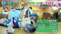 Popular Videos - 老犬ホーム & 老犬ホーム関東 花園牧場