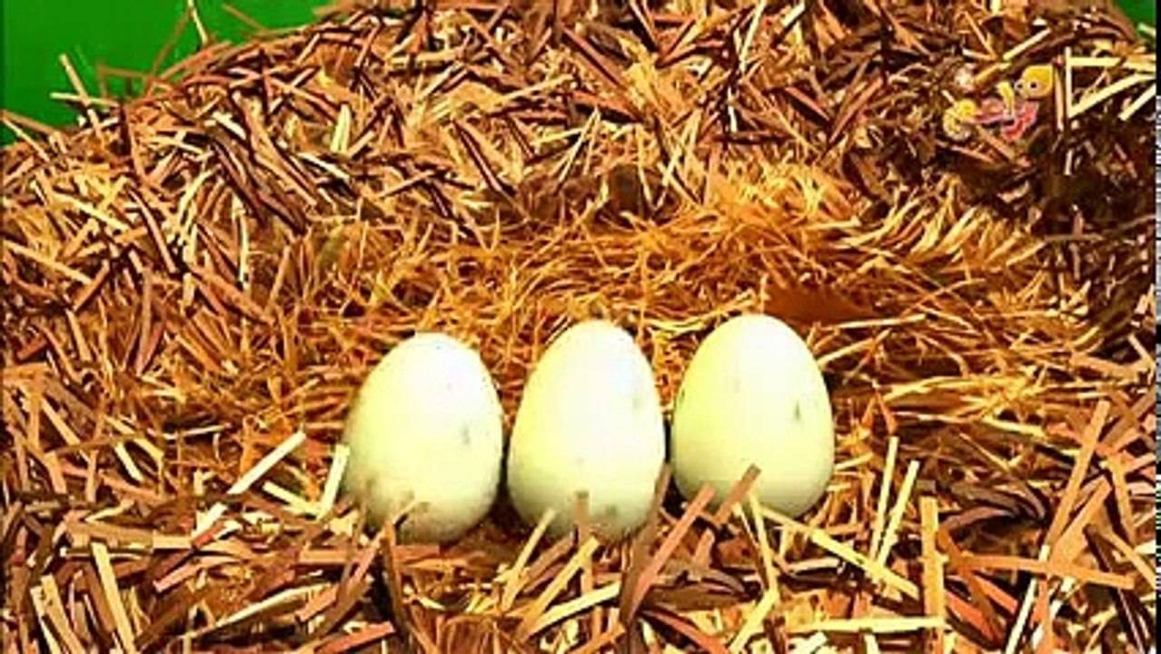 براعم : نان وليلي - العصفورة والبيض - يوتيوب