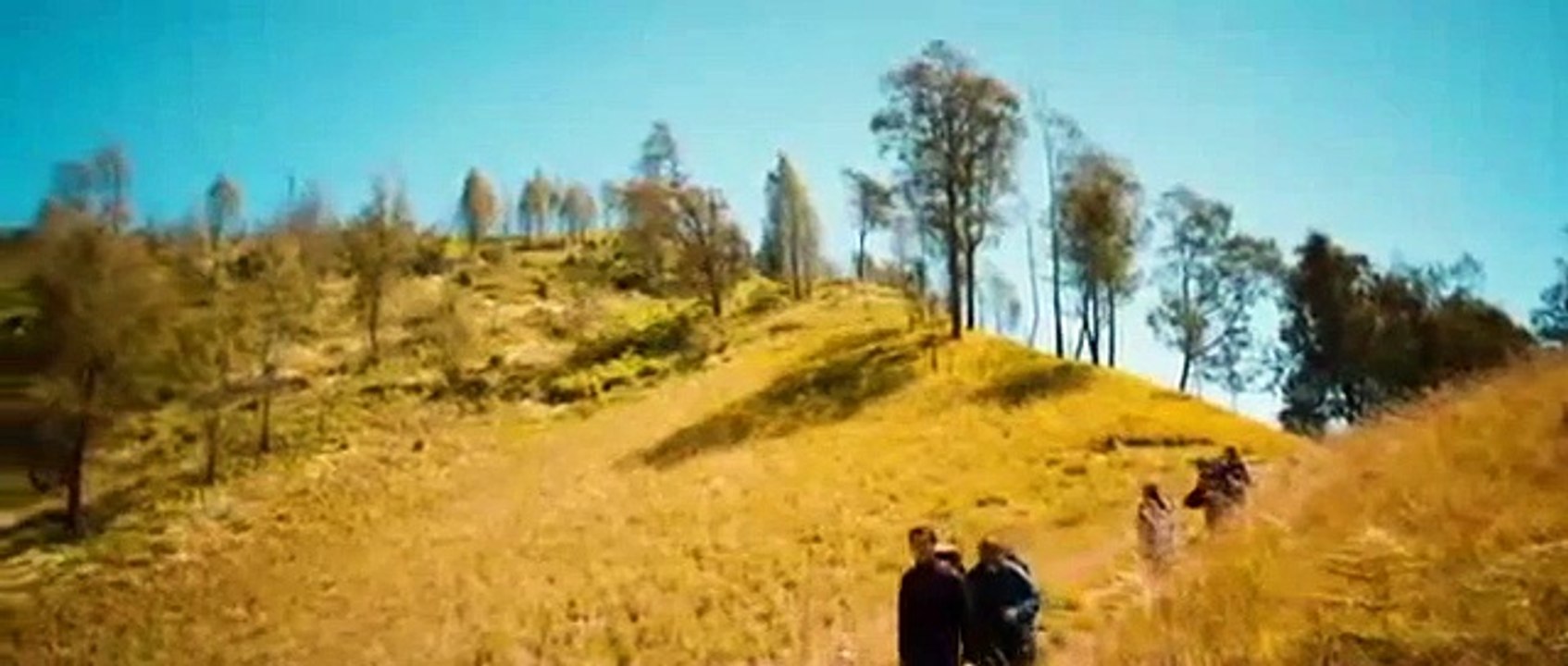5cm